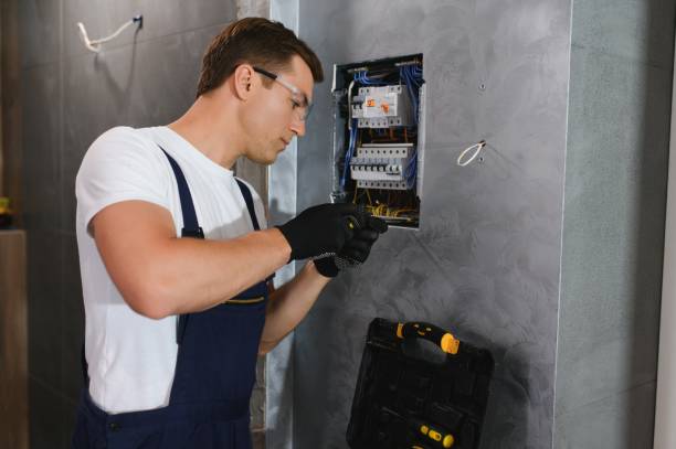 Best Ceiling Fan Installation Electrician  in Alton, IA