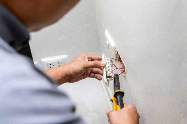 Best Electric Panel Repair  in Alton, IA